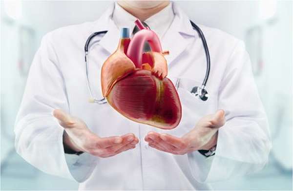 Отличия приобретенных пороков сердца от врожденных, виды и симптомы патологий, лечение