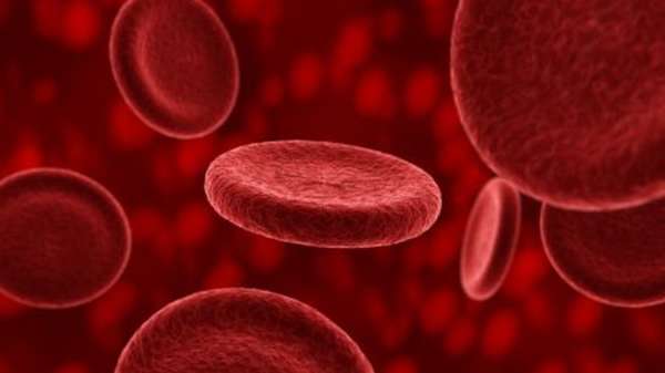 Анализ гемоглобина в крови в домашних условиях thumbnail