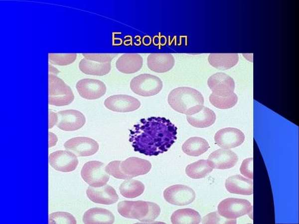 Какие должны быть нормы лейкоцитов в крови здорового ребенка, подростка и взрослого человека?