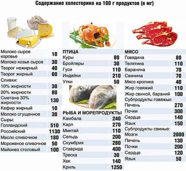 Употребление, каких продуктов повышает холестерин в крови: список разрешенных продуктов и примерное меню