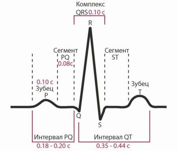 Как провести расшифровку анализа ЭКГ, норма и отклонения, патологии и принцип диагностики