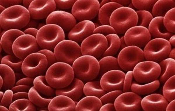 Какие данные необходимы, что посчитать норму цветового показателя крови?