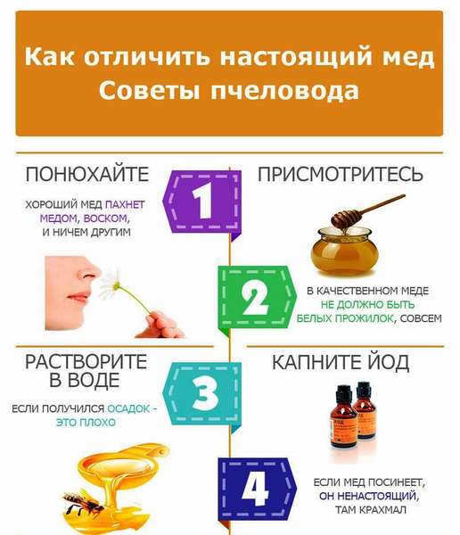 Отравление медом: симптомы, первая помощь