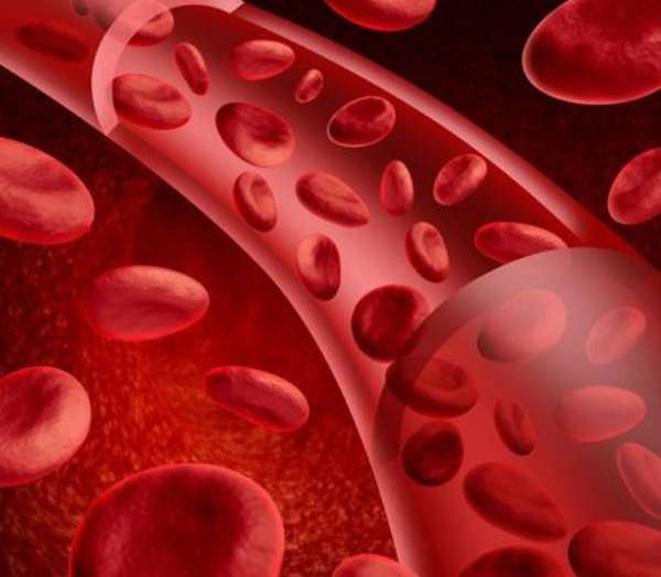 Низкий уровень гемоглобина в крови: как можно повысить показатель?