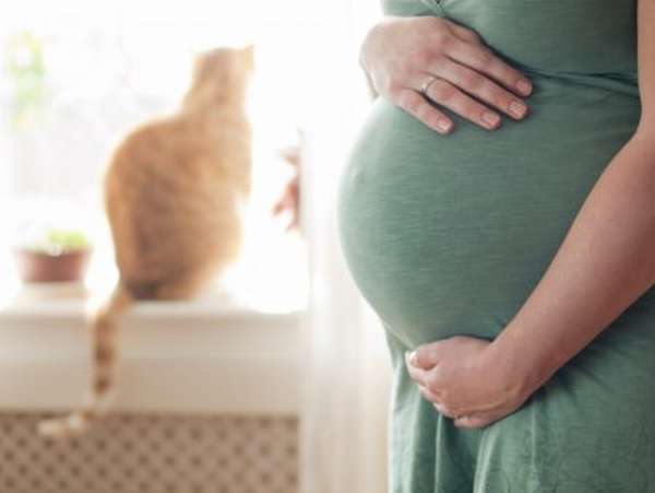 Как быстро и без вреда для ребенка повысить гемоглобин кормящей маме после родового процесса?