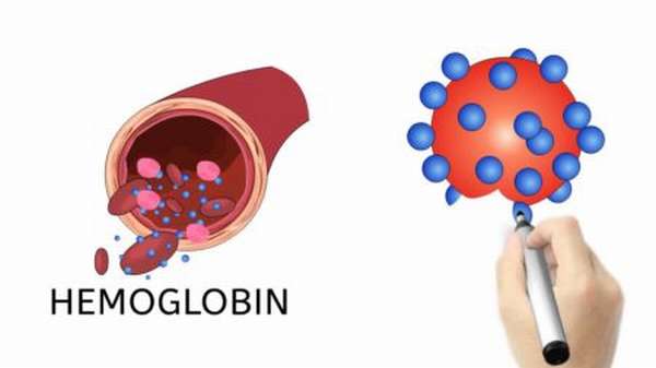 Как узнать про гемоглобин thumbnail