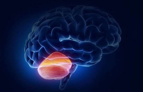 Основные причины развития мозжечкового инсульта, методы диагностики, лечения и профилактики