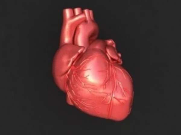 Отличие признаков ишемической болезни сердца у женщин, от симптоматики у мужского пола