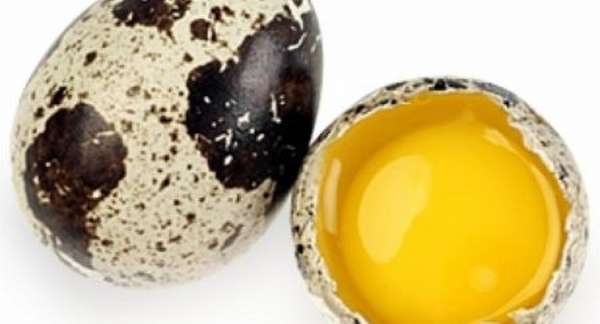 Перепелиные яйца и есть ли в них холестерин, как использовать этот продукт во благо?