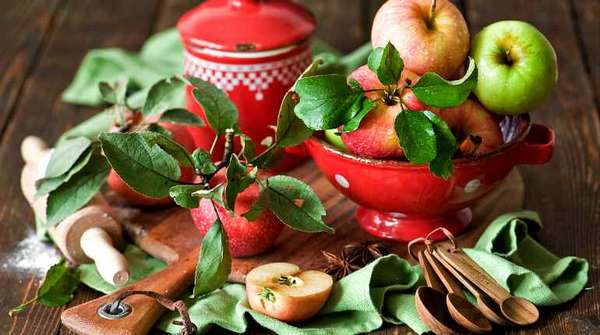 Приготовление лечебных препаратов из коры яблони
