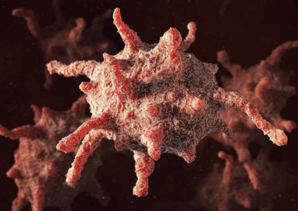 Что называют тромбоцитами, и какова их роль в организме человека?