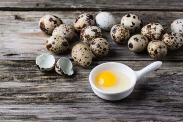 Перепелиные яйца и есть ли в них холестерин, как использовать этот продукт во благо?