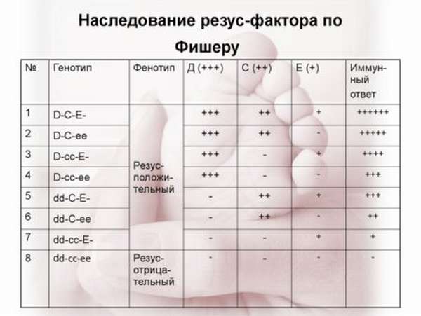 Выявление группы крови и резус-фактора: какой будет кровь у ребенка, таблица, калькулятор для определения данных показателей
