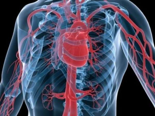 Как выполнить расшифровку данных с ЭКГ при признаках инфаркта миокарда?