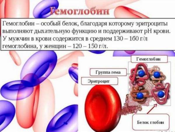 Анемия гемоглобин 80 стадия thumbnail