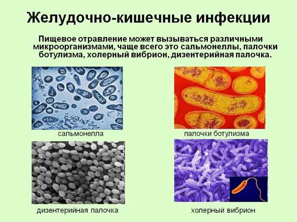 Инфекционное отравление: симптомы, виды и признаки