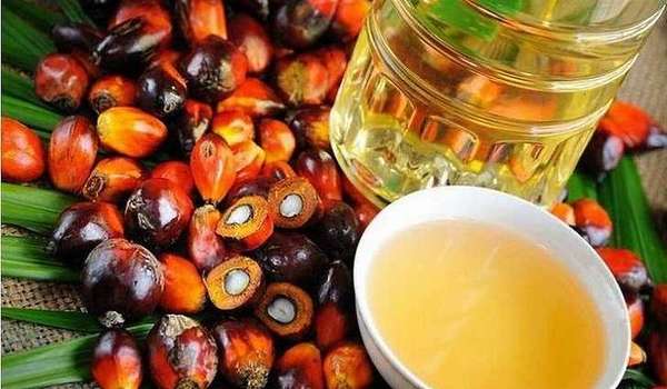 Пальмовое масло богато витамином e