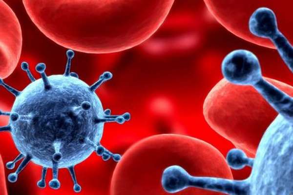 Рекомендации о том, как понизить содержание лейкоцитов в крови у взрослых и детей