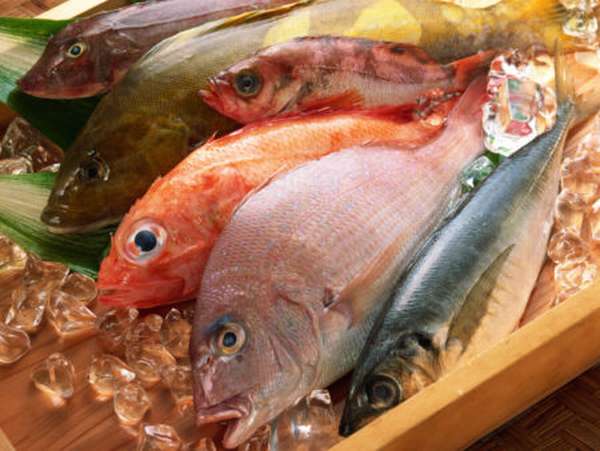 Польза и вред морепродуктов: печень трески, и как она влияет на уровень холестерина