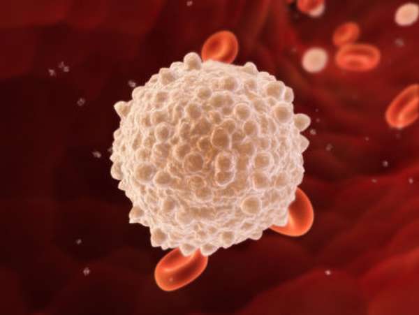 Причины отклонения от нормы уровня лейкоцитов в крови у мужчин и способы нормализации показателя