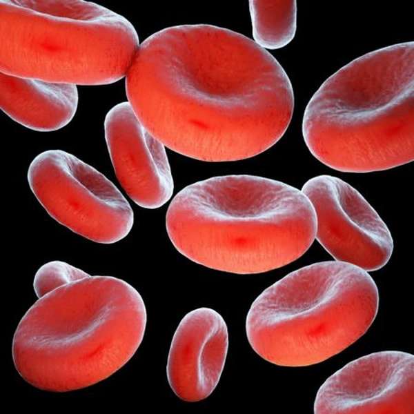 Фрукты, способные повысить уровень гемоглобина в крови, симптомы и причины пониженных показателей, диагностика, методы лечения и выбор продуктов