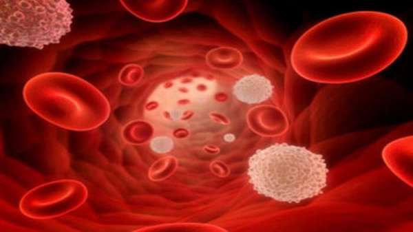 Что может стать причиной повышенных лейкоцитов в крови у новорожденных и как нормализовать их уровень?