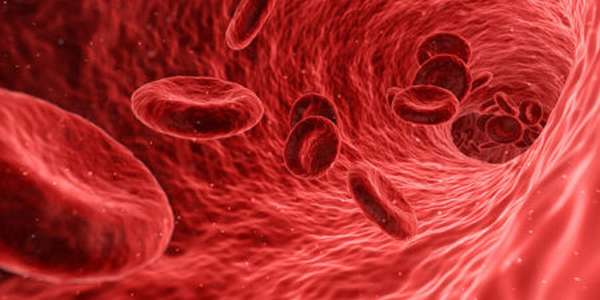 К каким последствиям может привести низкий уровень гемоглобина в крови при беременности?