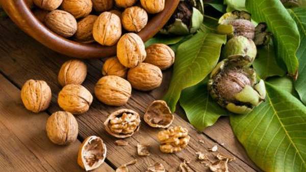Чем полезны орехи при повышенном холестерине и кому они противопоказаны?