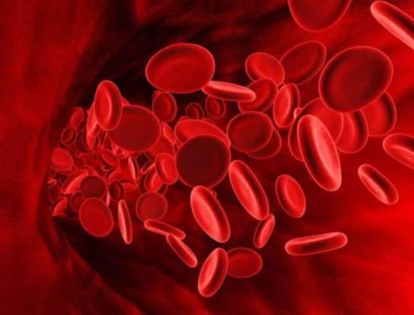 Причины плохой свертываемости крови и способы устранения нарушений