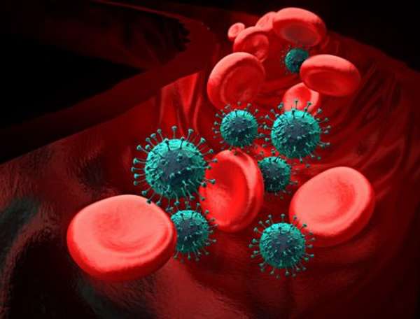 Тромбоциты в крови у женщин: нормы и отклонения, способы коррекции