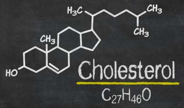 Принципы диеты при повышенном холестерине, разрешенные и запрещенные продукты