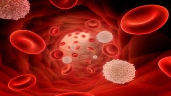 Какие патологии влияют на повышение лимфоцитов, и одновременное понижение лейкоцитов?