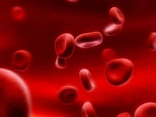 Почему понижается гематокрит крови, причины, методы лечения и профилактики