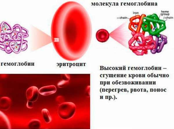 Быстрые способы как поднимают показатели гемоглобина перед сдачей анализа крови