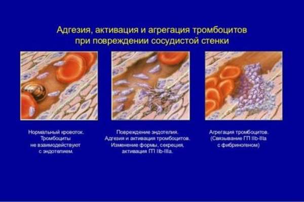Что собой представляет процесс агрегации тромбоцитов и как он проходит?