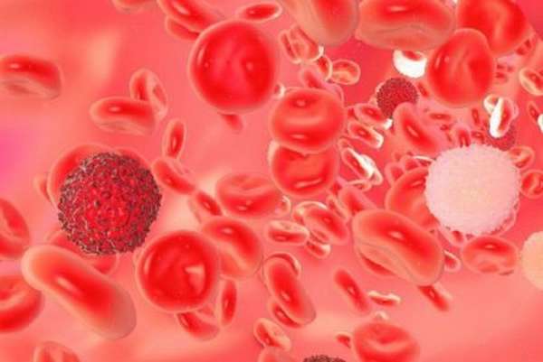 Причины отклонения уровня лимфоцитов в крови у мужчин от общепринятой нормы