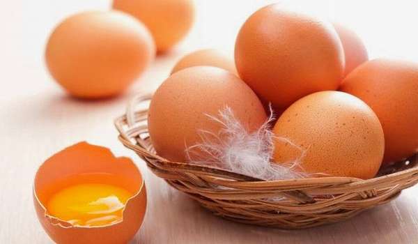 Яйца богаты белками