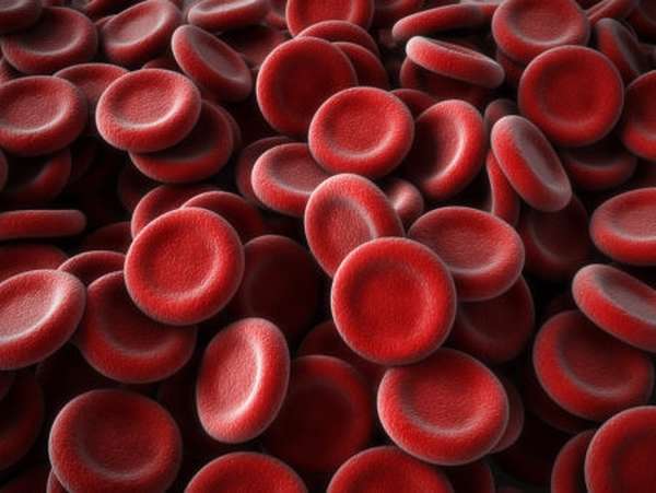 Что показывает изучение биохимического анализа крови? Как правильно подготовиться?