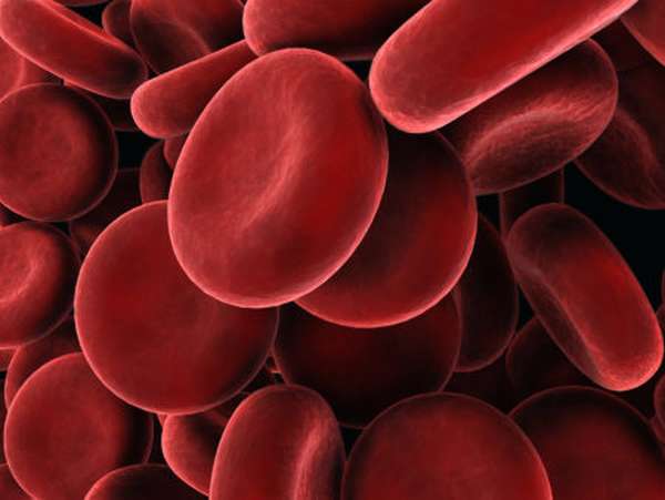 Расшифровка показателя RBC в анализах крови, причины повышения или понижения красных кровяных телец