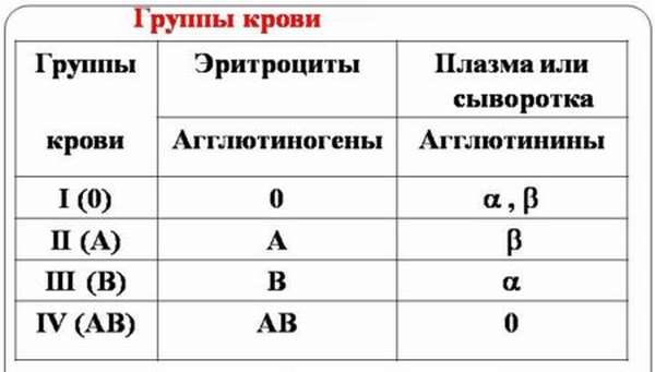 Какие особенности характерны для 4 группы крови? Почему людям с такой группой нужно себя беречь?