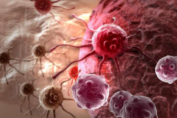 Отклонение от нормы лейкоцитов и тромбоцитов, основные функции клеток