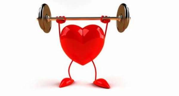 Как укрепляют сердечную мышцу в домашних условиях с помощью физических нагрузок?
