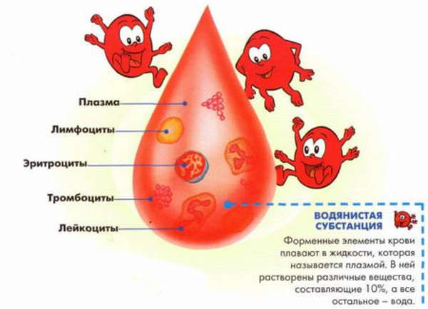 Причины повышения лейкоцитов в крови у ребенка, забор крови и расшифровка результатов