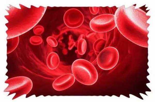 Способен ли гематоген повысить показатели гемоглобина в крови или нет, плюсы и минусы