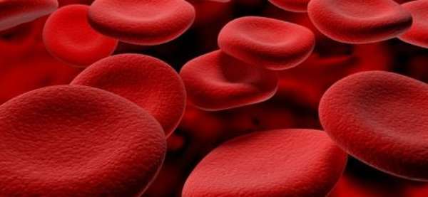 Как определить самую редкую группу крови, описание типов