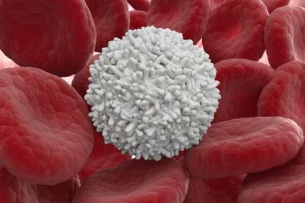 Как повышают уровень лейкоцитов в крови после химиотерапии?