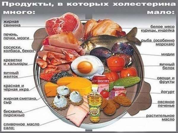 Употребление, каких продуктов повышает холестерин в крови: список разрешенных продуктов и примерное меню