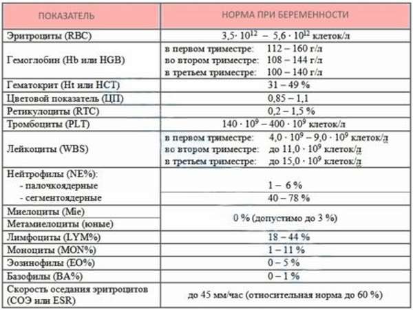 Чем опасно повышение уровня лейкоцитов в крови при беременности, правила сдачи и лечение при отклонениях