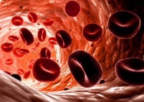 Что необходимо знать о пониженном гемоглобине каждому человеку?
