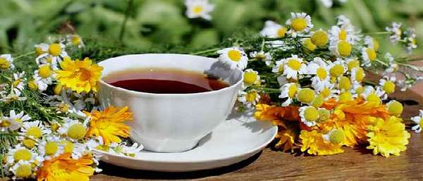 Чай из цветков ромашки и ноготков
